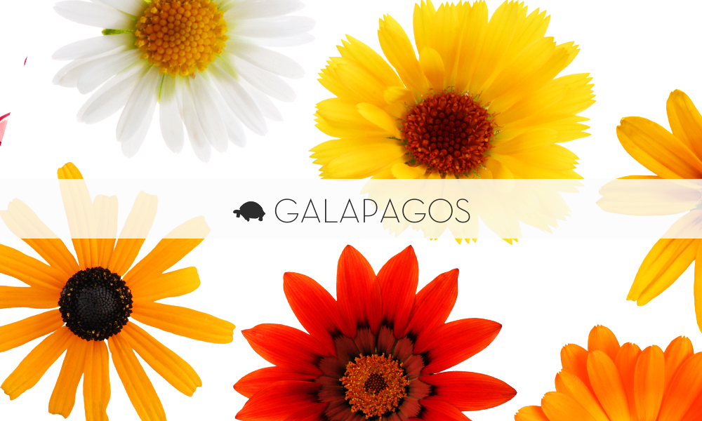 GALAPAGOS